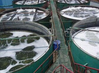 高橋污水處理廠生化尾水